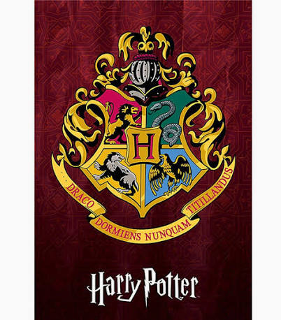 HARRY POTTER