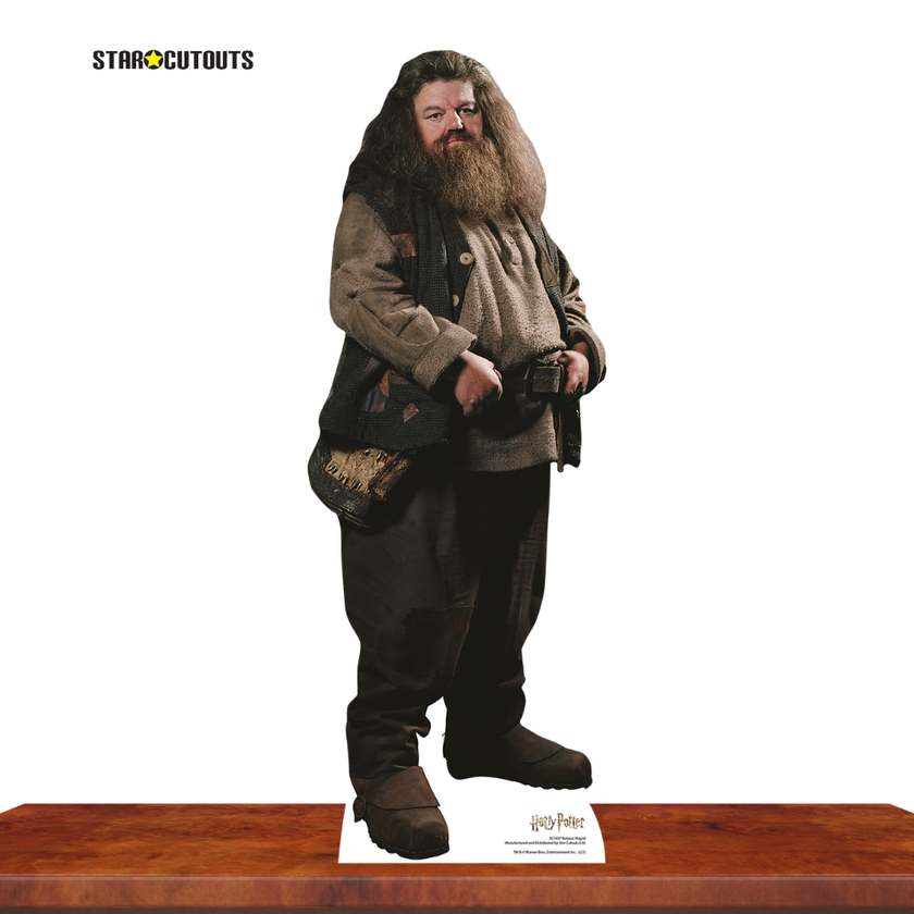 SC1964 Hagrid Star Mini Cardboard Cut Out Height 91cm