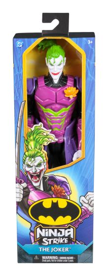 DC Universe 12
