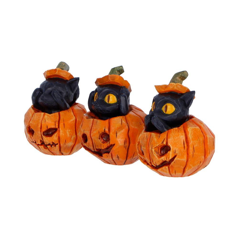 Three Wise Pumpkin Patch Three Wise Halloween Pumpkin Patch Cats 7.7cm NEMESIS NOW