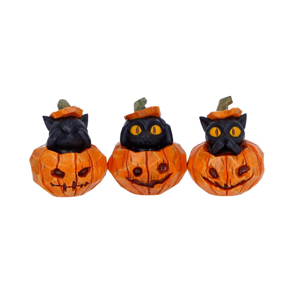 Three Wise Pumpkin Patch Three Wise Halloween Pumpkin Patch Cats 7.7cm NEMESIS NOW