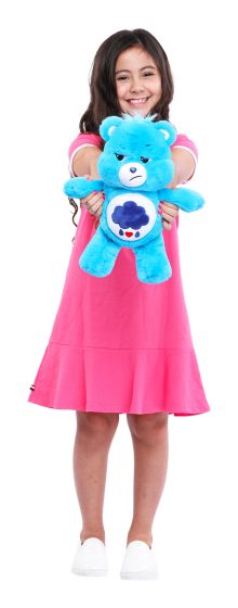 Care Bears 14